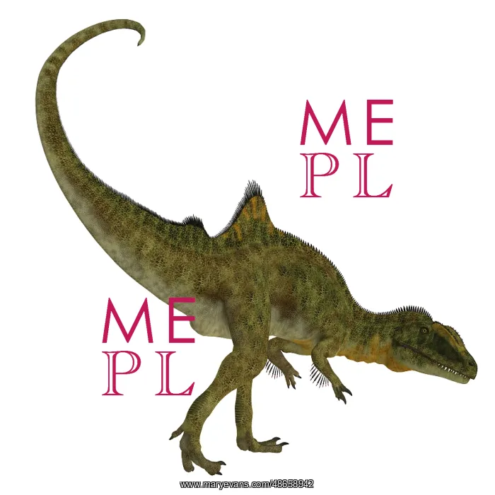 : Concavenator dinosaur on white background : Concavenator dinosaur on white background