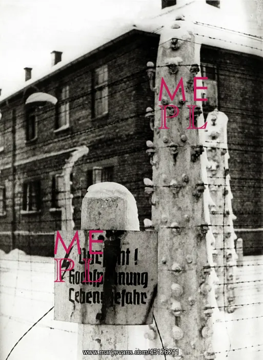 : Concentration Camp Auschwitz : Concentration Camp Auschwitz