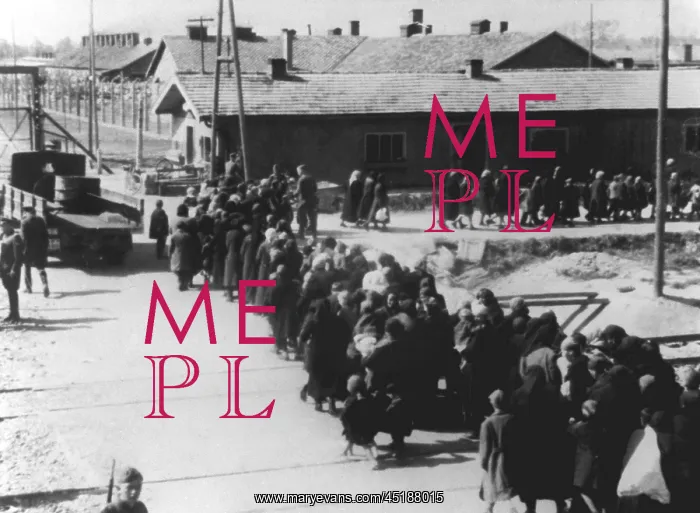: Concentration camp - Auschwitz : Concentration camp - Auschwitz