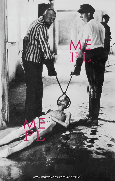 : Concentration camp internees dragging the body of a victim : Concentration camp internees dragging the body of a victim
