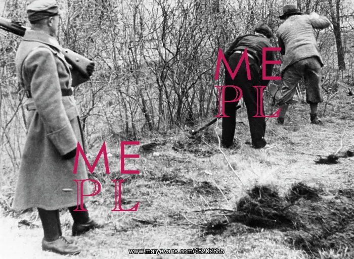 : Concentration camp prisoners working, 1933 : Concentration camp prisoners working, 1933