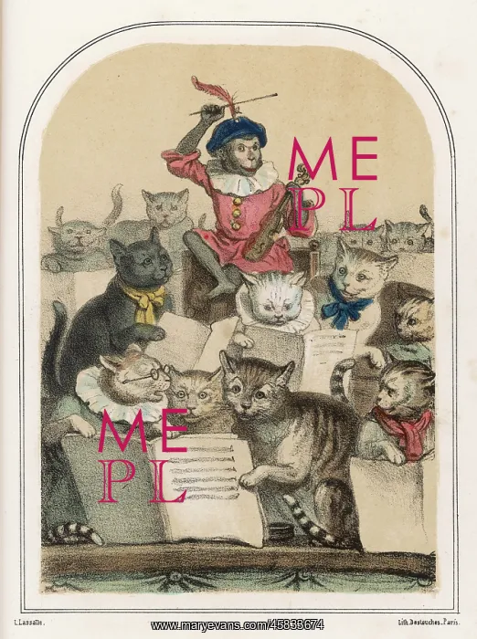 : CONCERT DES CHATS : CONCERT DES CHATS