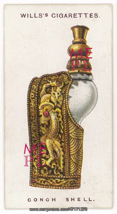 : CONCH SHELL TALISMAN : CONCH SHELL TALISMAN