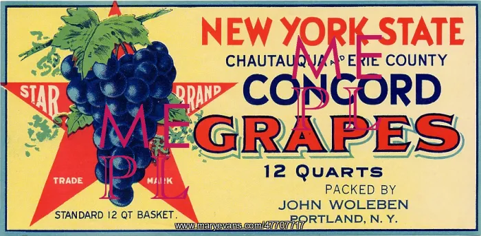  : Concord Grape Label