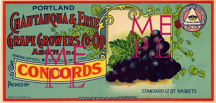  : Concord Grape Label