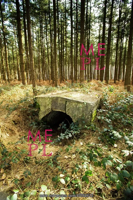 : Concrete ammunition bunker : Concrete ammunition bunker