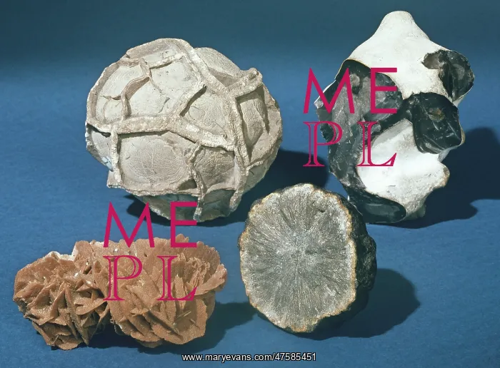 : Concretions : Concretions