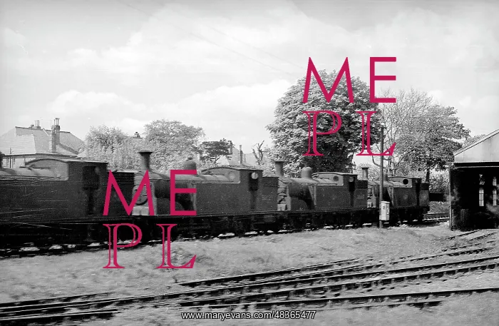 : Condemned locomotives at Branksome : Condemned locomotives at Branksome