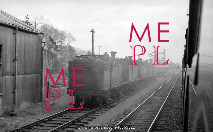 : Condemned locomotives at Branksome : Condemned locomotives at Branksome