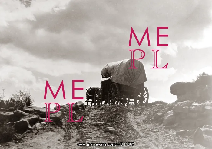  : Conestoga Wagon On Dirt Road On