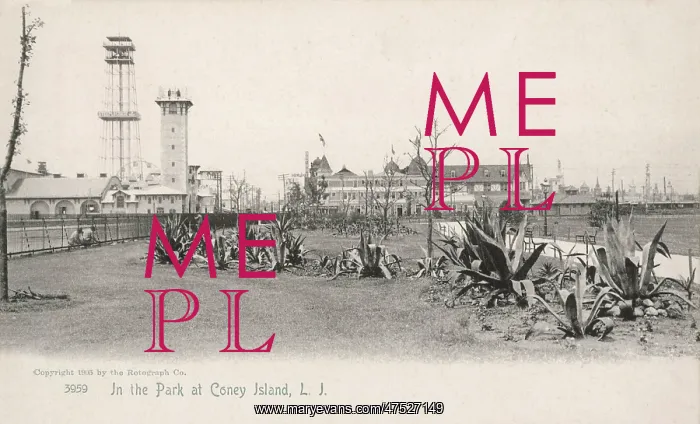  : Coney Island