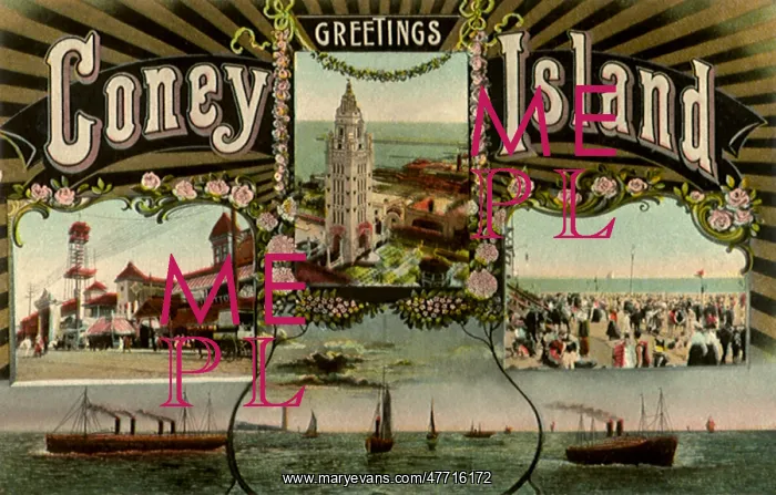  : Coney Island Views