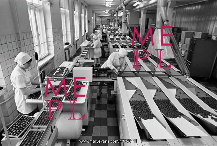 : Confectionery factory : Confectionery factory