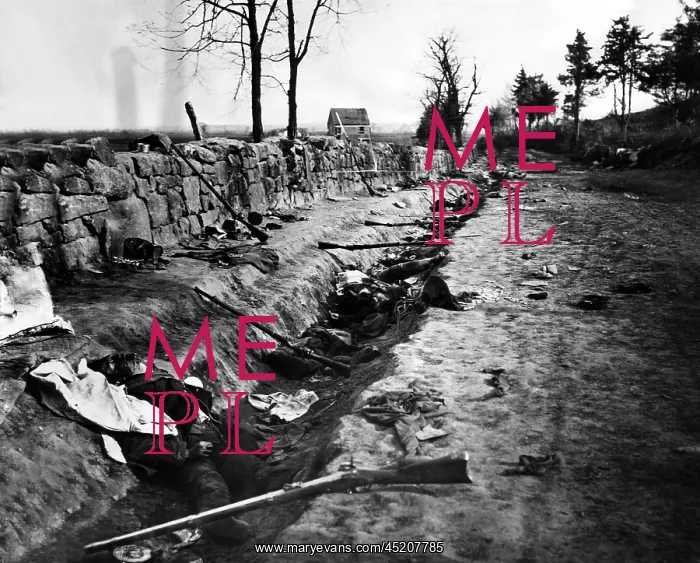 : Confederate dead behind the stone wall of ? : Confederate dead behind the stone wall of ?