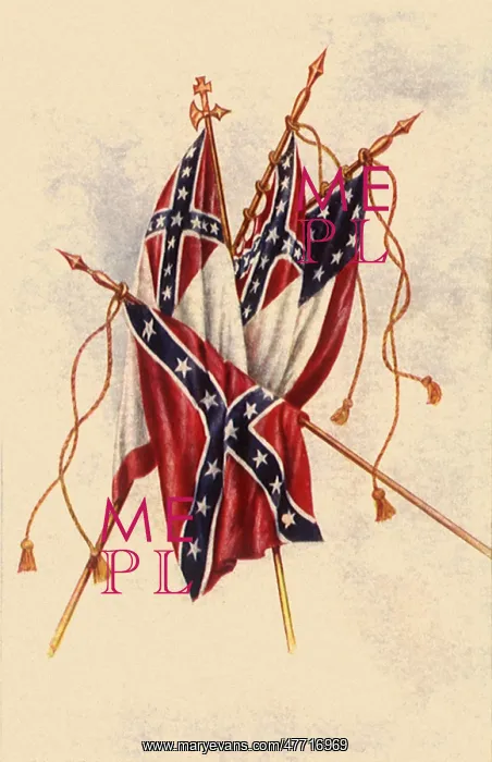: Confederate Flags : Confederate Flags