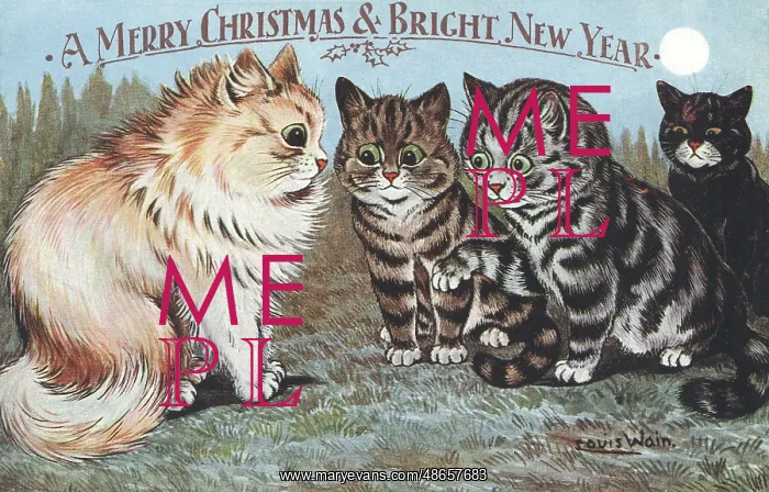 : Conferring Cats : Conferring Cats
