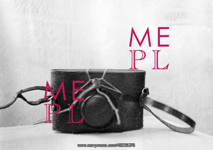 : A confiscated camera in Lithuania, 1941 : A confiscated camera in Lithuania, 1941