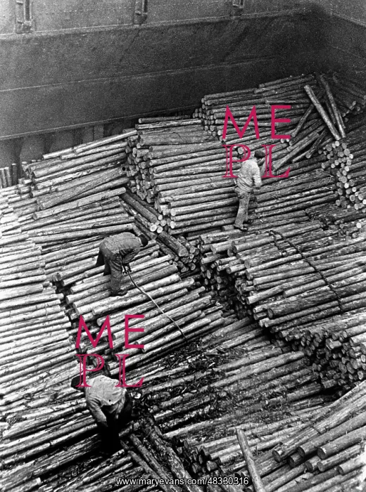 : Confiscated goods in Hamburg, 1939 : Confiscated goods in Hamburg, 1939
