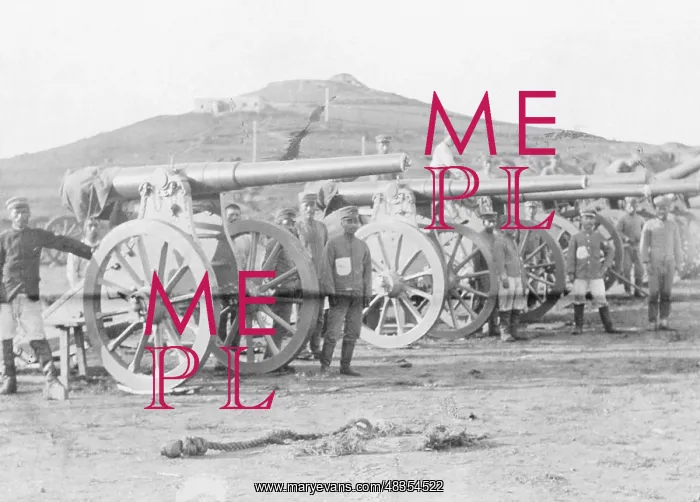 : Confiscated Russian guns, 1905 : Confiscated Russian guns, 1905