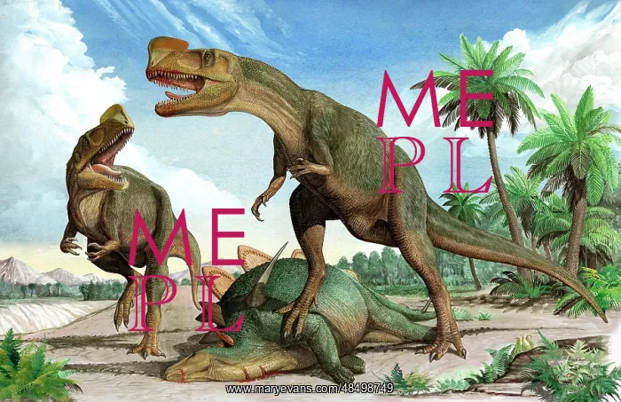 : Confrontation between two Kileskus aristotocus dinosaurs ? : Confrontation between two Kileskus aristotocus dinosaurs ?