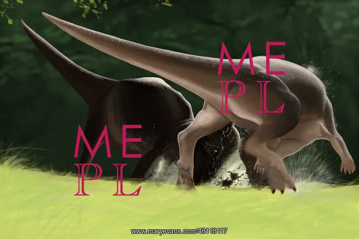 : Confrontation between two Pachycephalosaurus dinosaurs : Confrontation between two Pachycephalosaurus dinosaurs