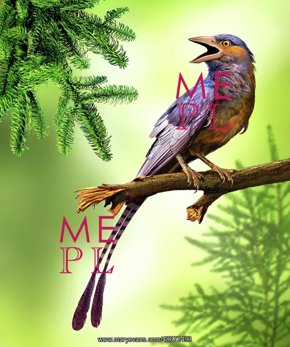  : Confuciusornis bird perched on a tree limb
