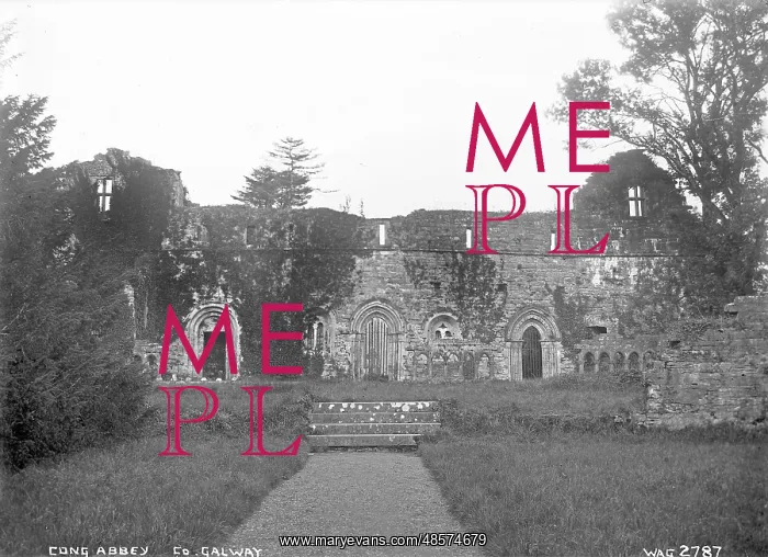 : Cong Abbey, Co. Galway : Cong Abbey, Co. Galway