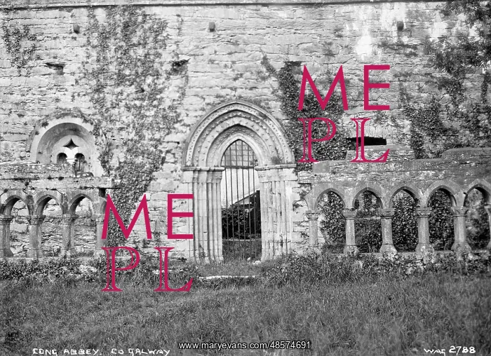 : Cong Abbey, Co. Galway : Cong Abbey, Co. Galway