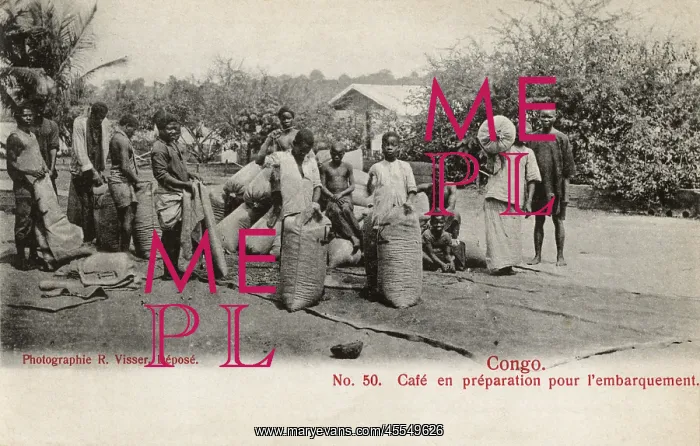 : Congo, Africa - Sacks of Coffee prepared for export : Congo, Africa - Sacks of Coffee prepared for export