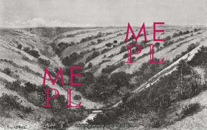 : The Congo. Climbing a slope in the Mpagassa Gorge : The Congo. Climbing a slope in the Mpagassa Gorge
