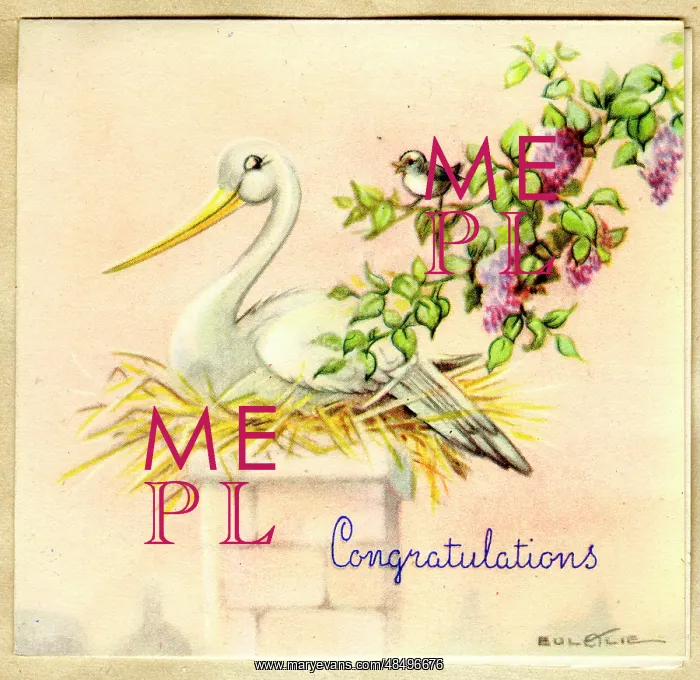 : Congratulations card, Stork on her nest : Congratulations card, Stork on her nest