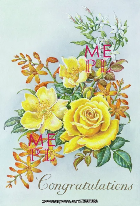 : Congratulations Yellow Roses with Montbretia : Congratulations Yellow Roses with Montbretia