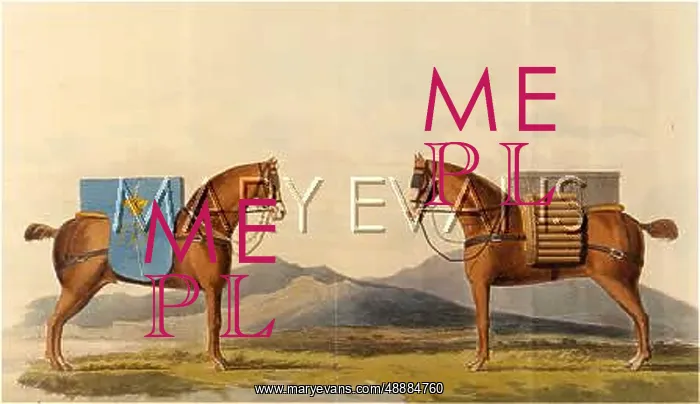  : CONGREVE / AMMO HORSES