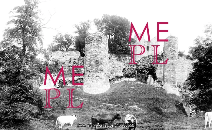  : Conisbrough, the Castle 1903