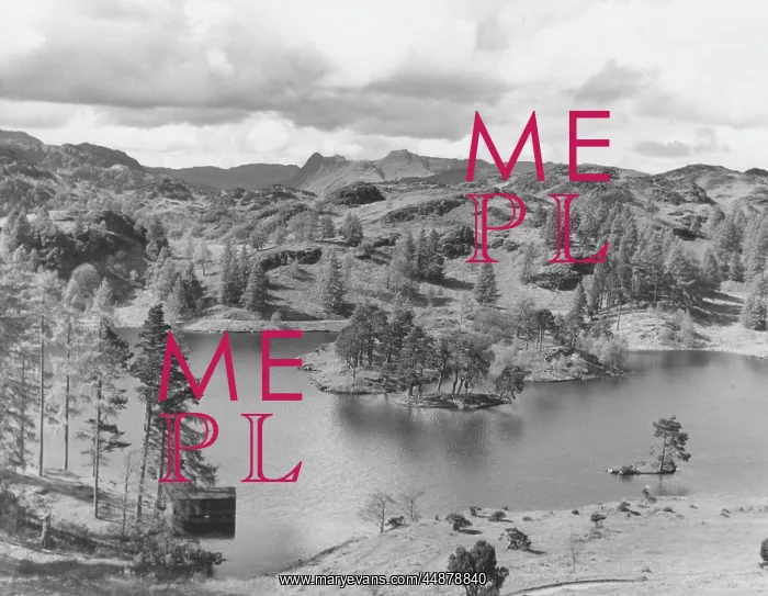 : CONISTON & TARN HOWS : CONISTON & TARN HOWS