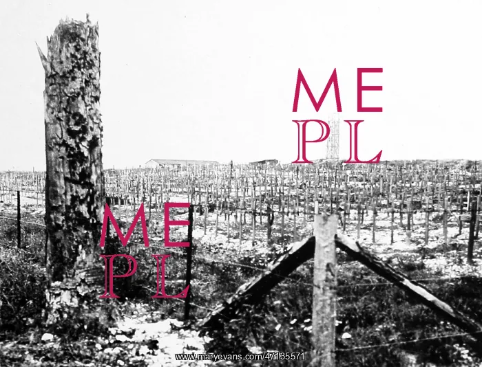 : Connaught Cemetery, Thiepval Ridge, - WW1 : Connaught Cemetery, Thiepval Ridge, - WW1