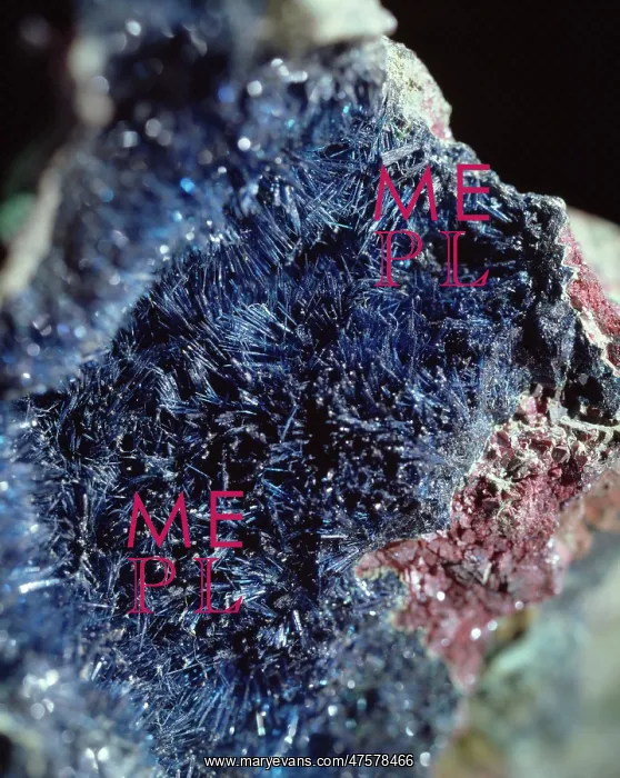 : Connellite : Connellite