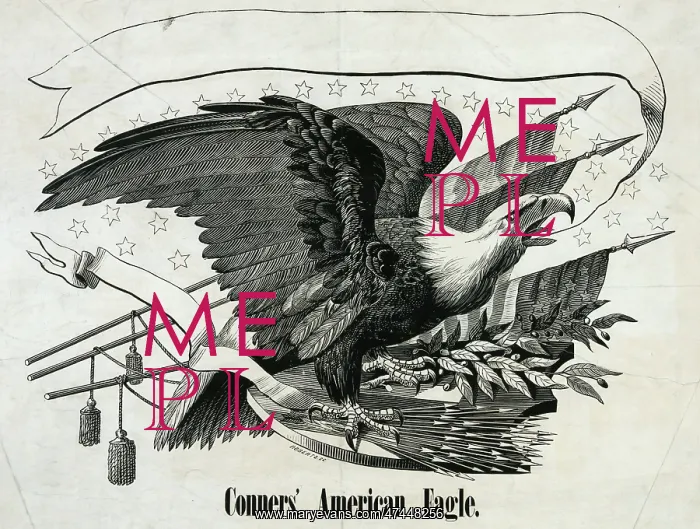  : Conner's American eagle