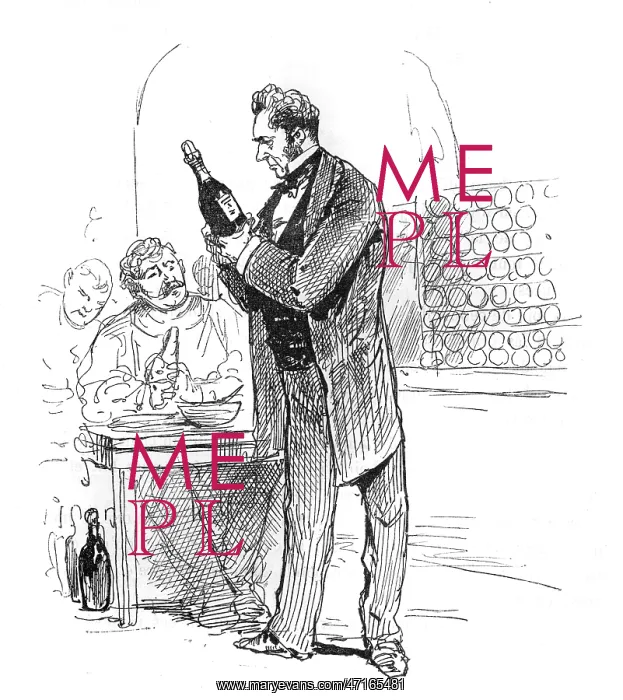  : WINE. A connoisseur examines a bottle