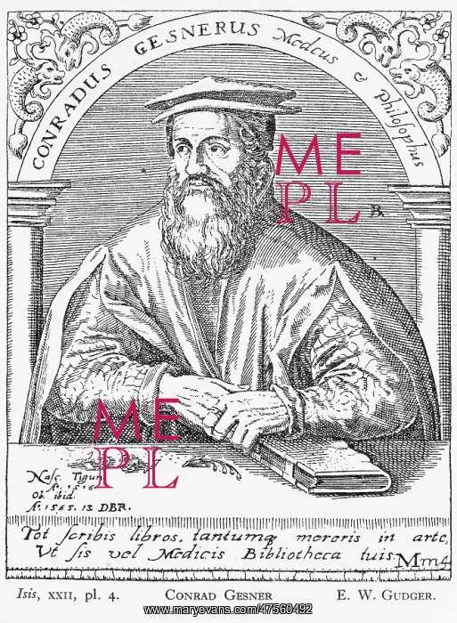 : Conrad Gessner (1516-1565) : Conrad Gessner (1516-1565)