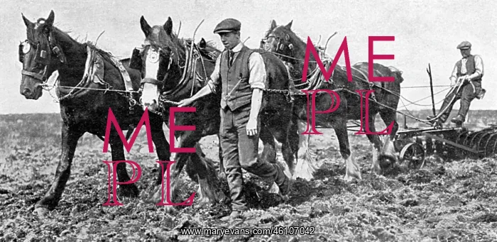 : Conscientious objectors on Dartmoor : Conscientious objectors on Dartmoor