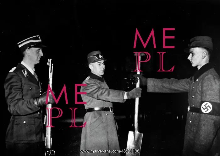 : Conscripts of the Feldherrnhalle Regiment, 1942 : Conscripts of the Feldherrnhalle Regiment, 1942