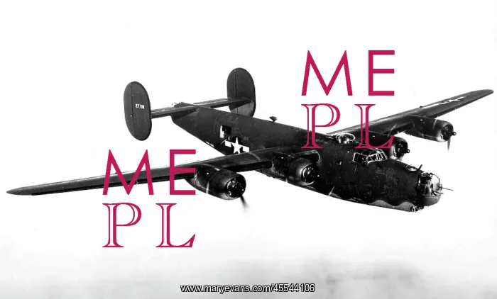 : Consdolidated B-24H Liberator -later, bigger, faster an : Consdolidated B-24H Liberator -later, bigger, faster an