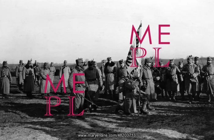 : Consecration of the flag of the Tirolese imperial riflemen : Consecration of the flag of the Tirolese imperial riflemen