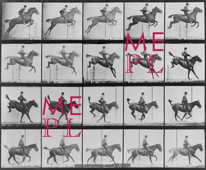 : Consecutive images of man riding a horse. ? : Consecutive images of man riding a horse. ?