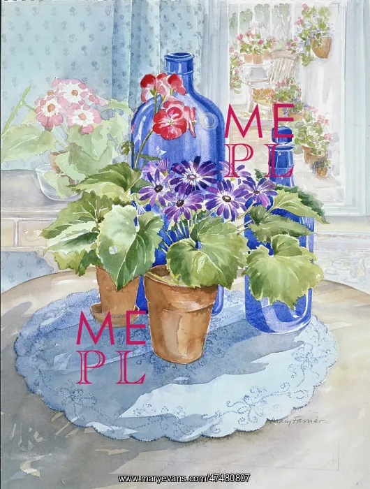 : Through to the Conservatory : Through to the Conservatory
