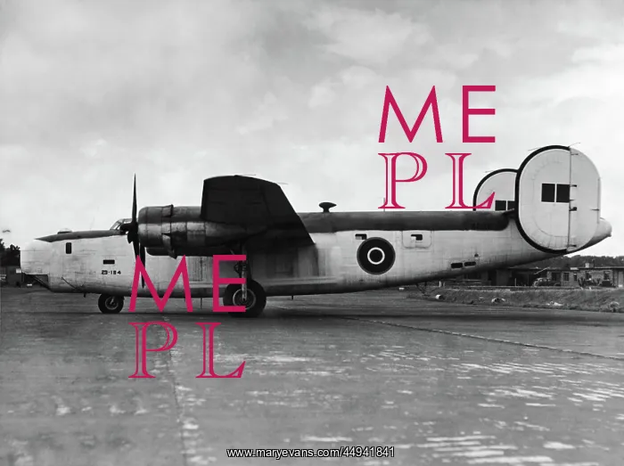 : Consolidated B-24 Liberator : Consolidated B-24 Liberator