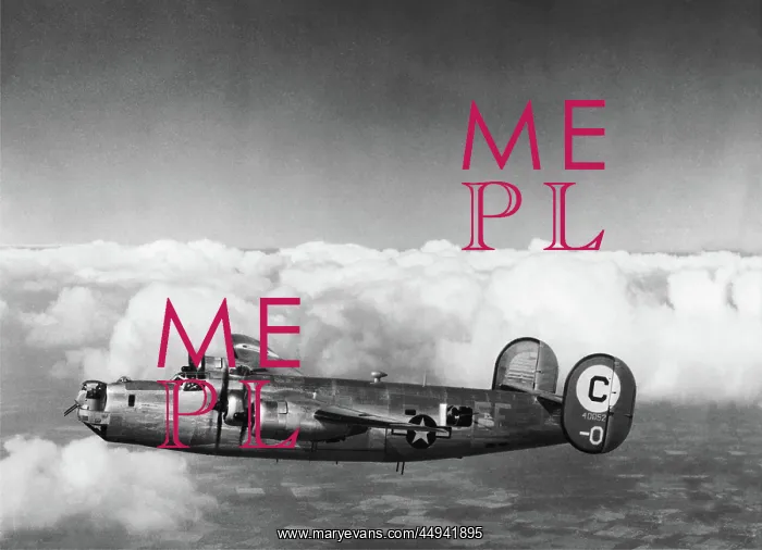 : Consolidated B-24 Liberator : Consolidated B-24 Liberator