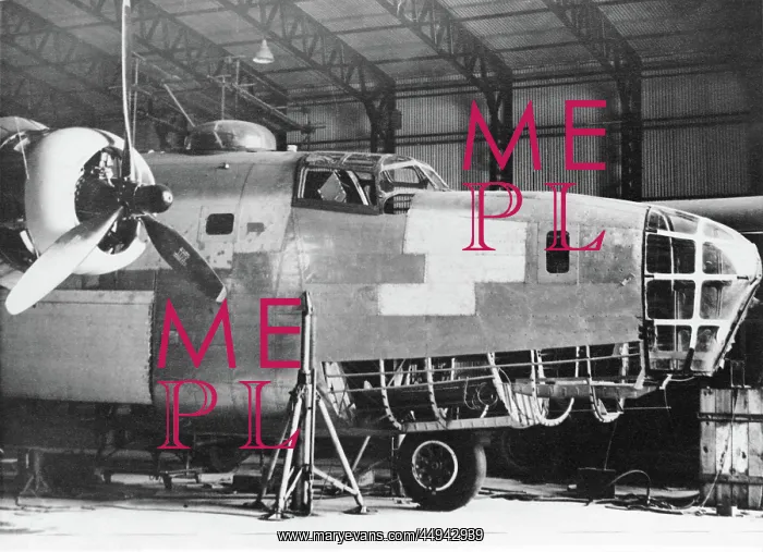 : Consolidated B-24 Liberator : Consolidated B-24 Liberator