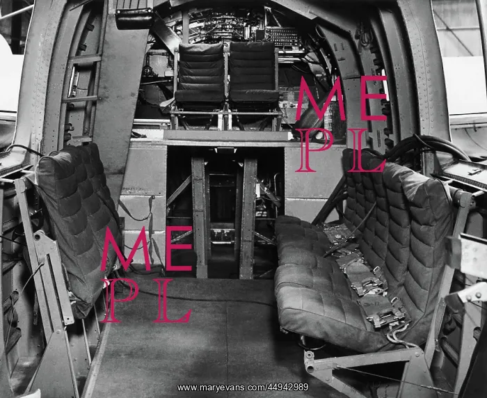 : Consolidated B-24 Liberator : Consolidated B-24 Liberator